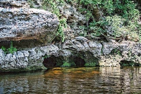 Camper-submitted photo at Adams Tract — Suwannee River Wilderness Trail near Jasper, FL