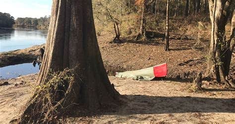 Camper-submitted photo at Adams Tract — Suwannee River Wilderness Trail near Jasper, FL