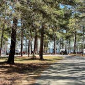 Review photo of Mistletoe State Park Campground by George H., March 29, 2022