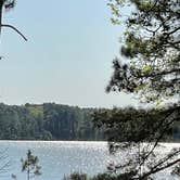 Review photo of Mistletoe State Park Campground by George H., March 29, 2022