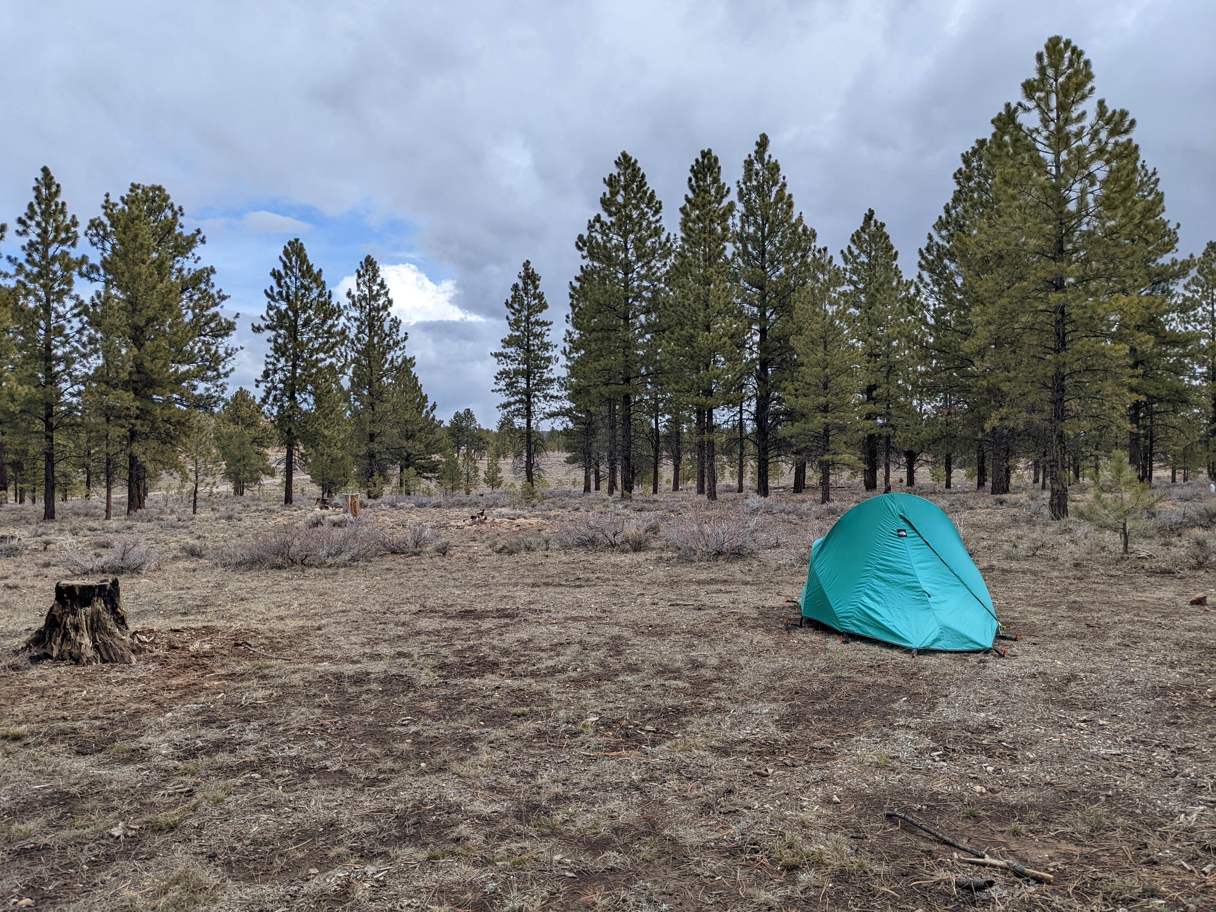 Becbecandbunny O.'s photo at Tom Best Spring Road FR117 Dispersed - Dixie National Forest near Tropic, UT