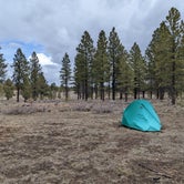 Review photo of Tom Best Spring Road FR117 Dispersed - Dixie National Forest by Becbecandbunny O., March 29, 2022