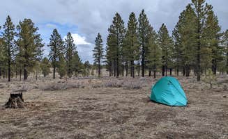 Becbecandbunny O.'s photo at Tom Best Spring Road FR117 Dispersed - Dixie National Forest near Tropic, UT