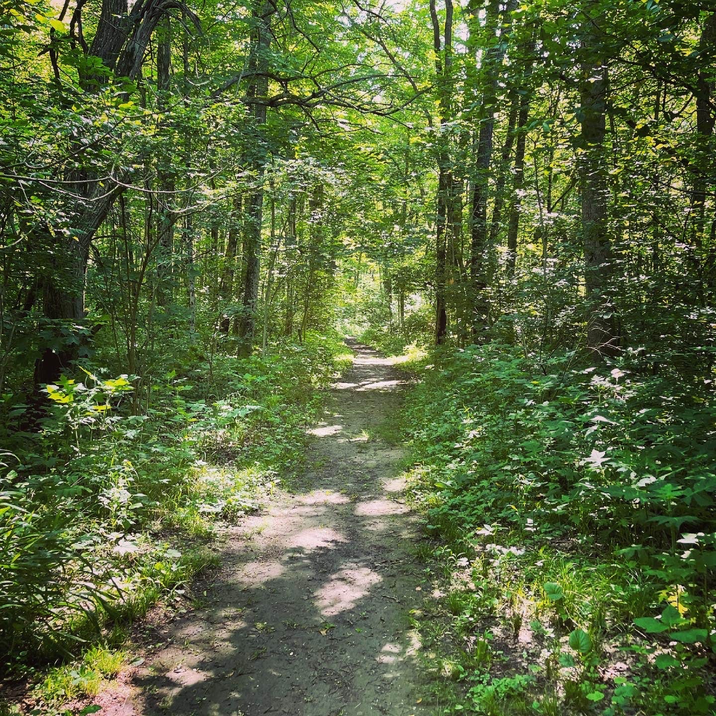 Camper-submitted photo at Sycamore State Park Campground near Blue Ash, OH