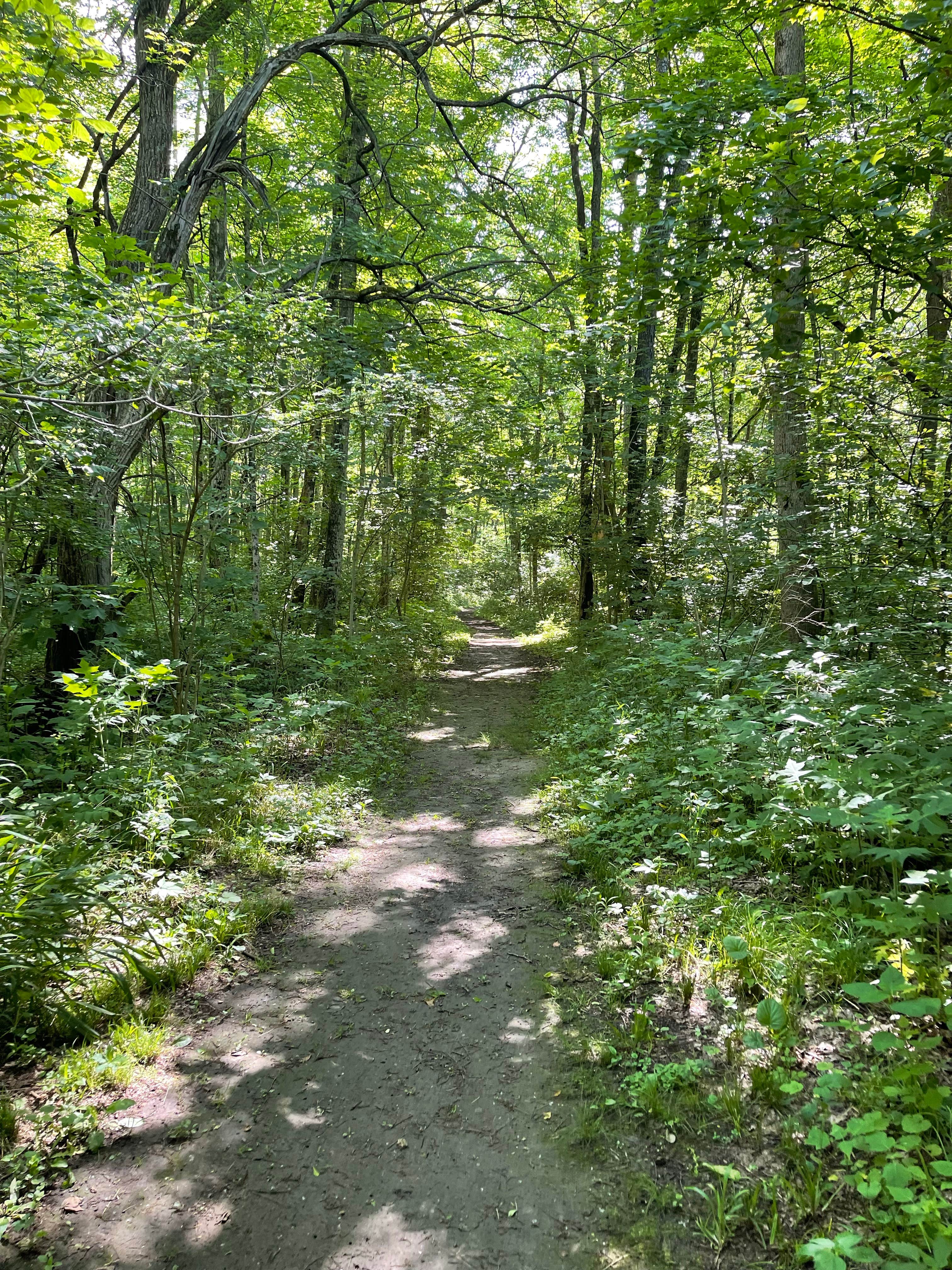 Camper-submitted photo at Sycamore State Park Campground near Blue Ash, OH