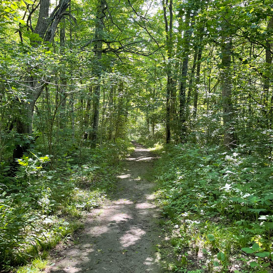 Sycamore State Park Camping The Dyrt