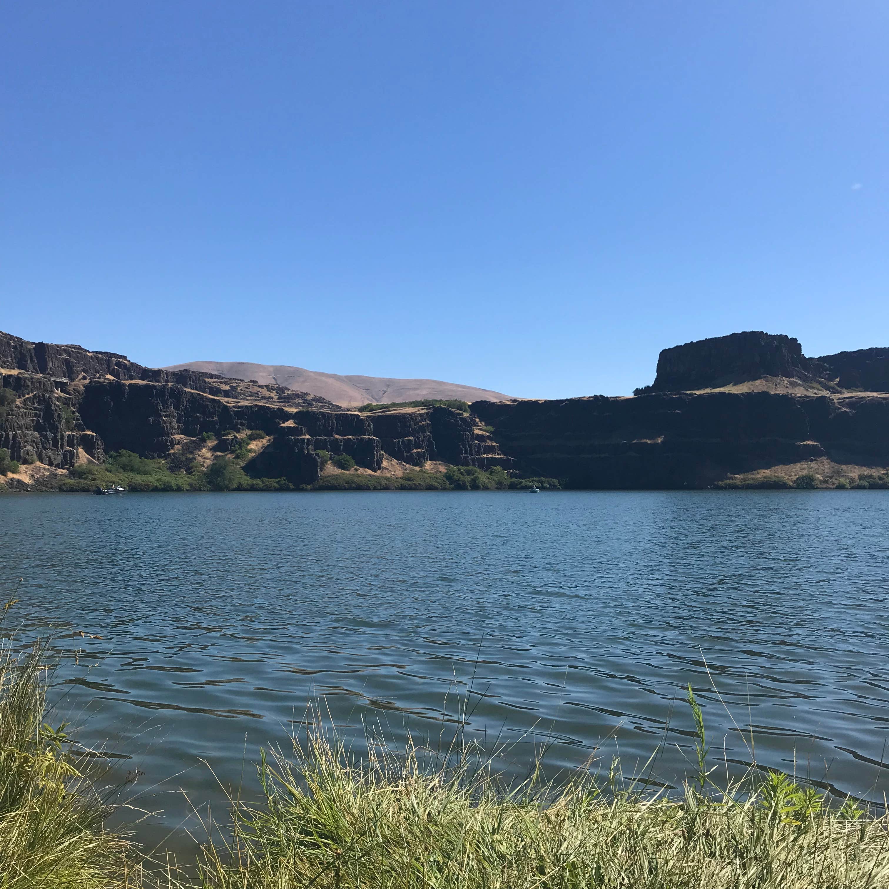 are dogs allowed at columbia hills state park