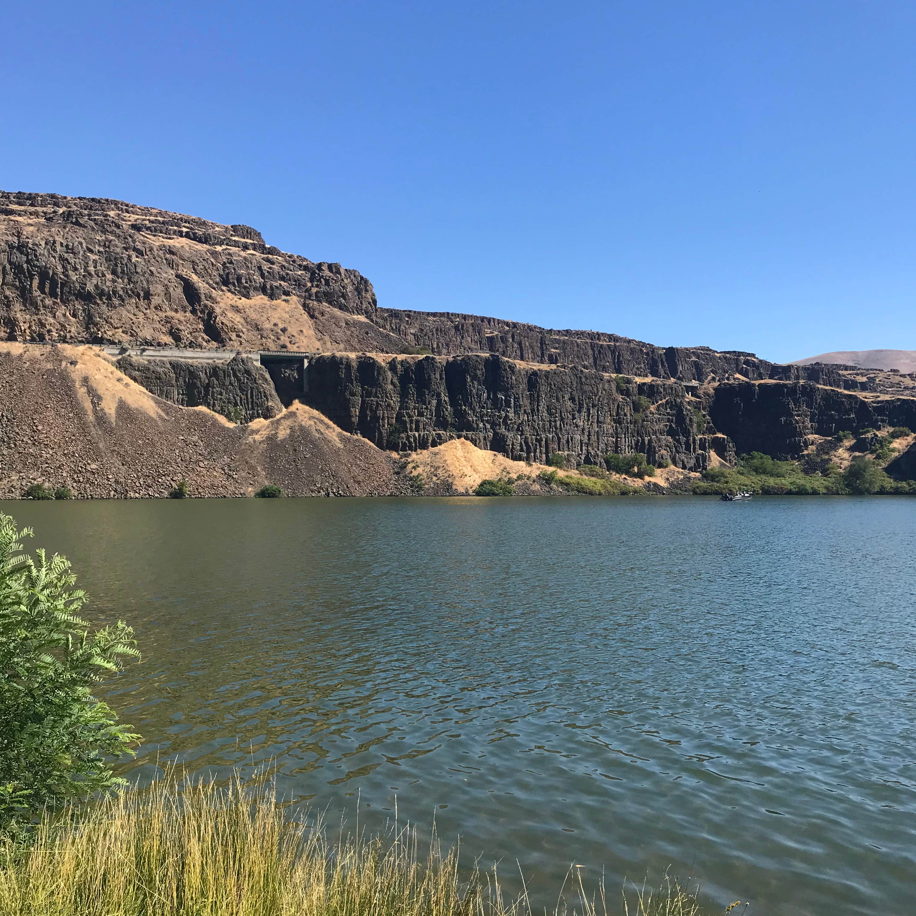 Camper submitted image from Columbia Hills Historical State Park Campground - 2