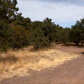 Review photo of Water Canyon Campground by Robin T., March 30, 2022