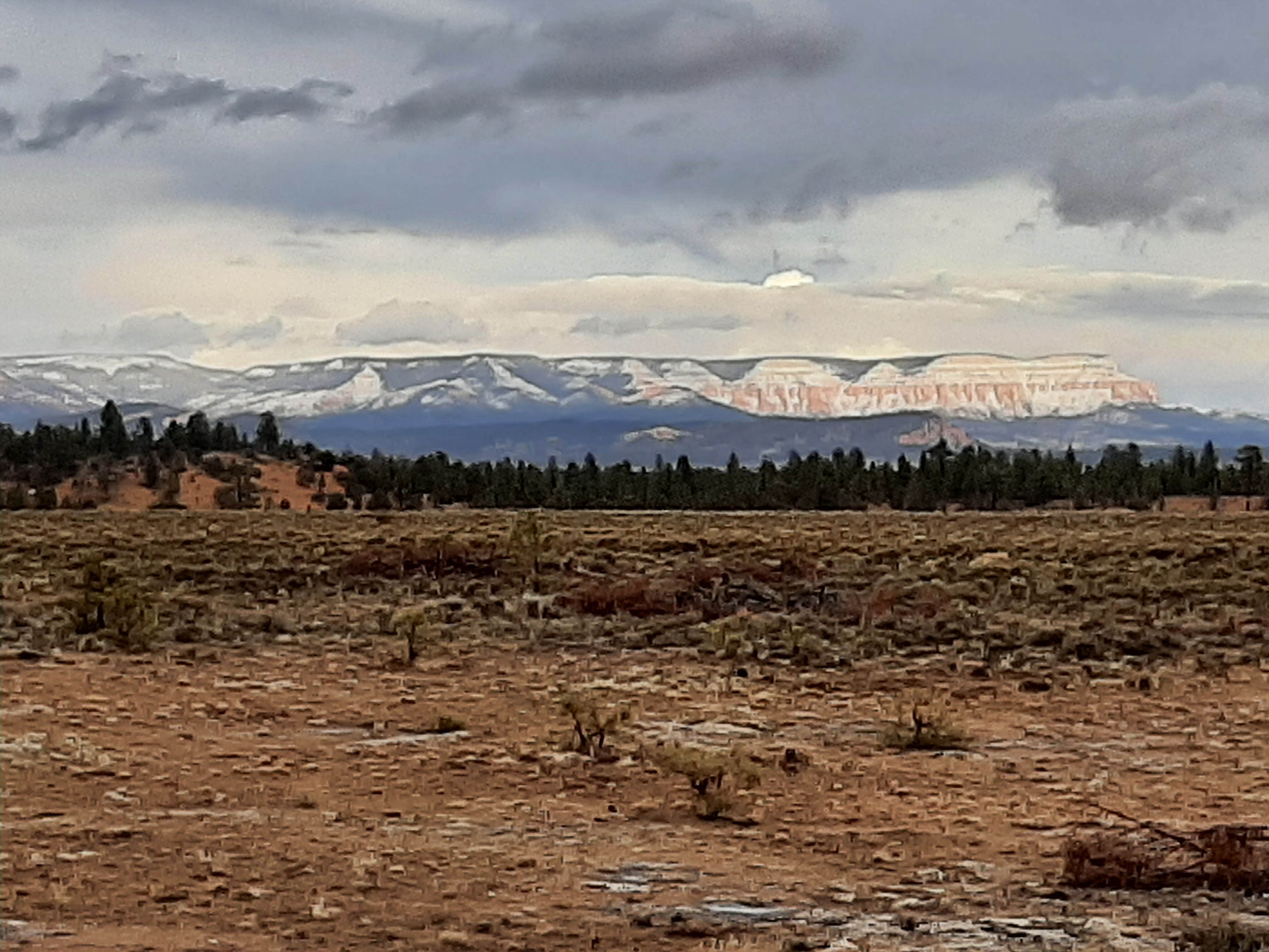 Camper-submitted photo at Forest Rd 294 Dispersed - Dixie National Forest near Brian Head, UT