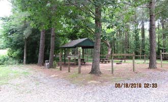 Camping near Mulberry Mountain Lodging & Events: Turner Bend Outfitter, Combs, Arkansas