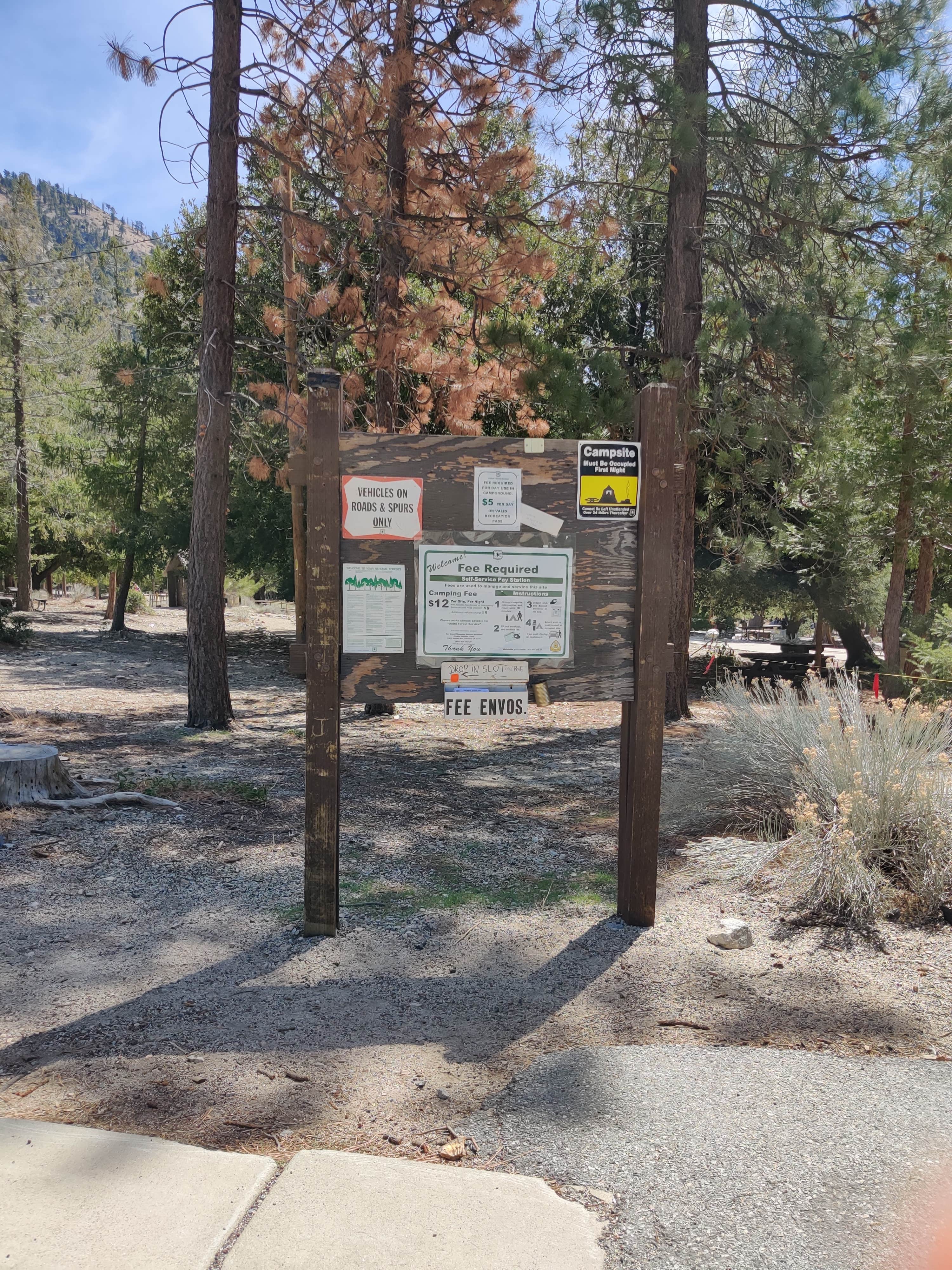 Camper submitted image from Crystal Lake Rec Area Campground - 5