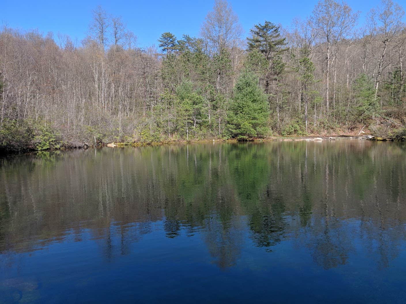 Camper-submitted photo at Emerald Pond Primitive Campground near Mount Solon, VA