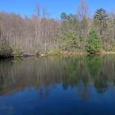 Review photo of Emerald Pond Primitive Campground by Jon N., March 30, 2022
