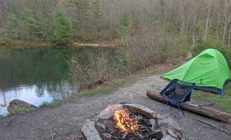 Camping near Hawk Nest Mushroom Farm: Emerald Pond Primitive Campground, New Market, Virginia