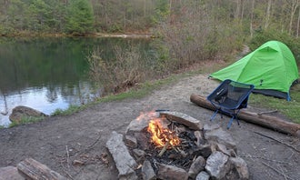 Camping near Luray RV Resort on Shenandoah River : Emerald Pond Primitive Campground, New Market, Virginia