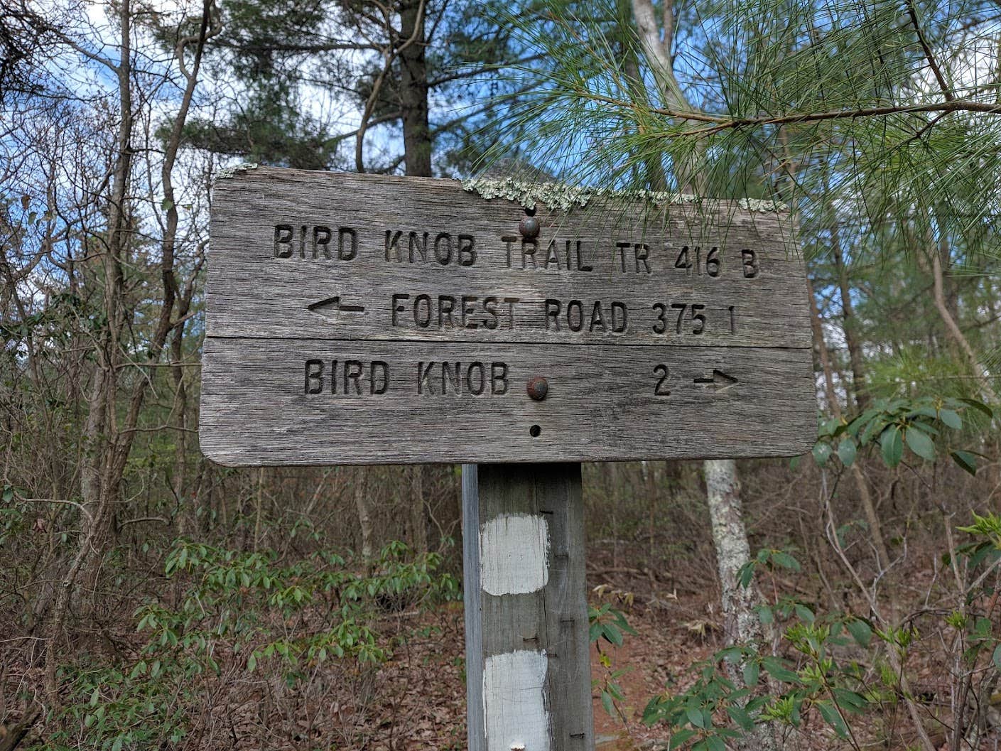Camper-submitted photo at Emerald Pond Primitive Campground near Mount Solon, VA