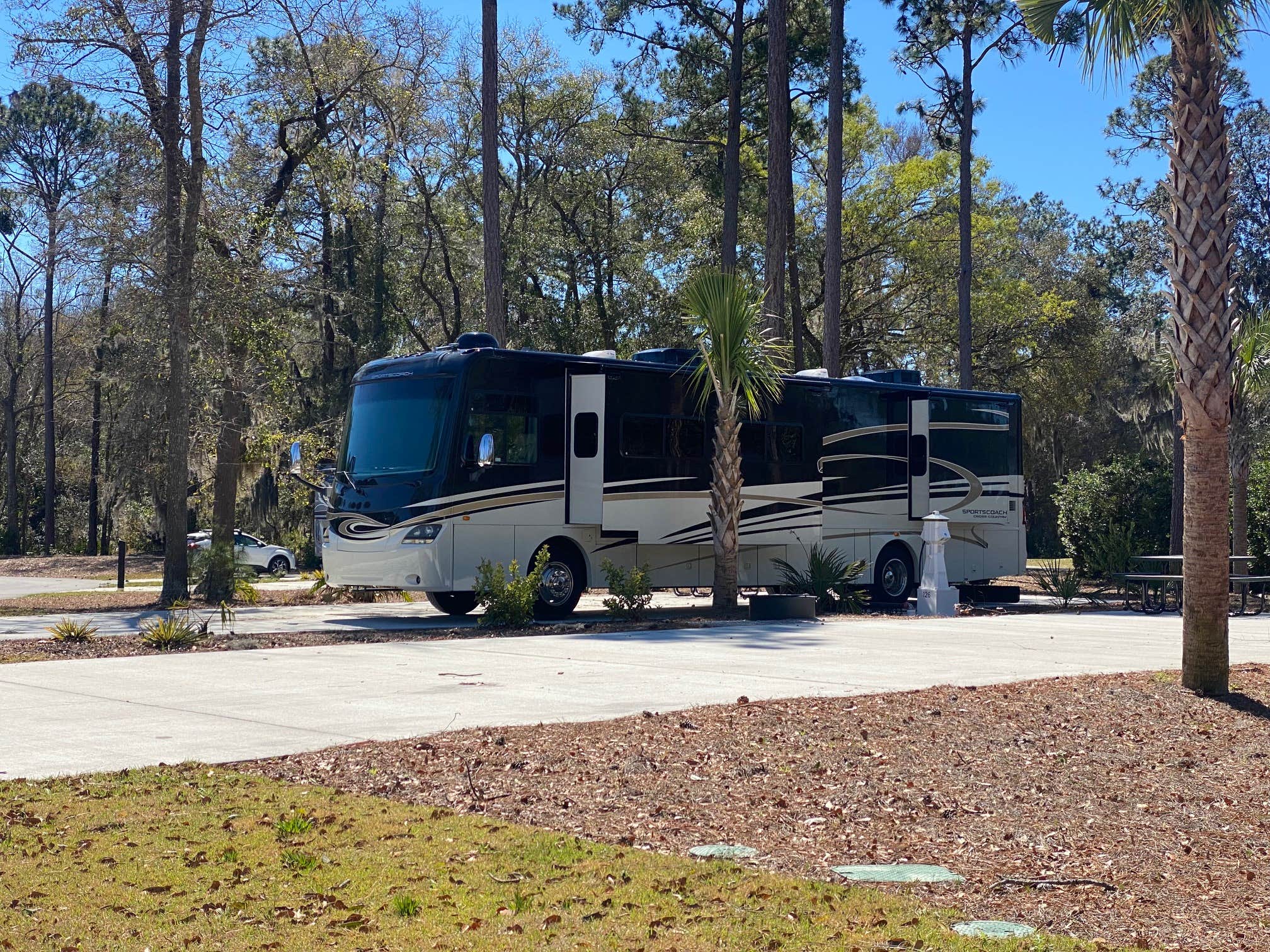 Camper-submitted photo at Hilton Head National RV Resort near Beaufort, SC