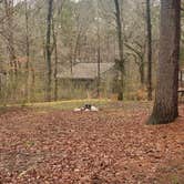 Review photo of Wall Doxey State Park Campground by Aaron S., March 30, 2022
