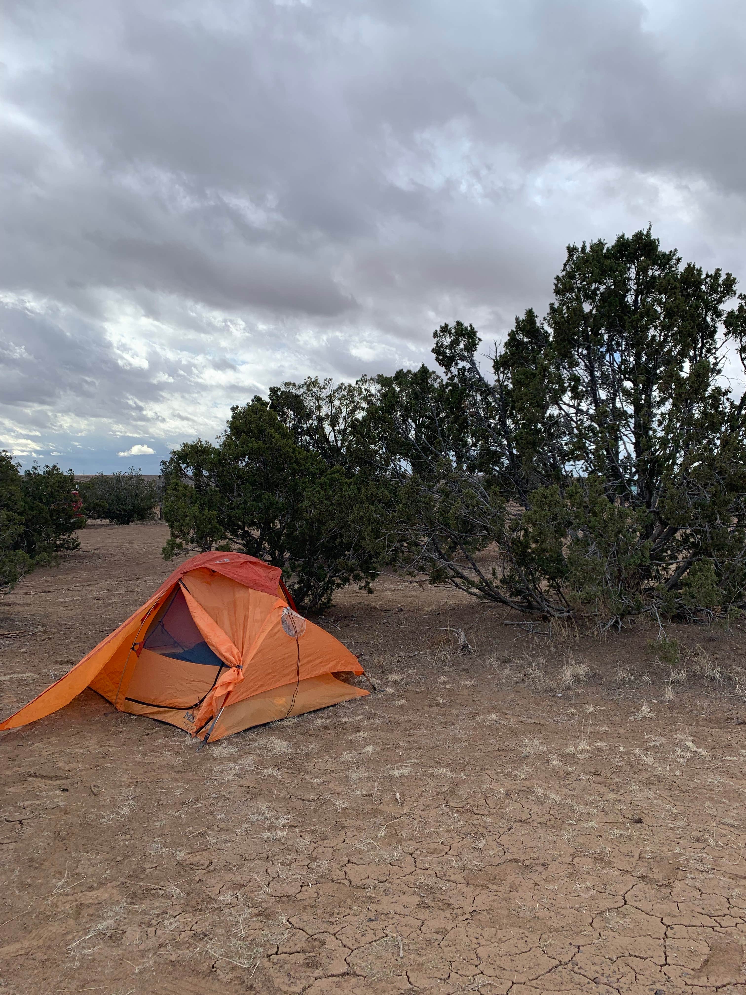 kelsey&#x27;s photo at Sante Fe National Forest BLM-Road 62 Dispersed near White Rock, NM
