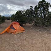 Review photo of Sante Fe National Forest BLM-Road 62 Dispersed by kelsey , March 30, 2022