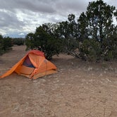 Review photo of Sante Fe National Forest BLM-Road 62 Dispersed by kelsey , March 30, 2022