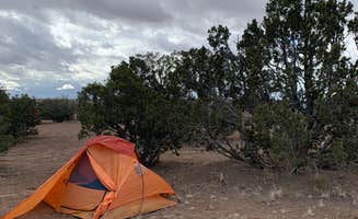 kelsey's photo at Sante Fe National Forest BLM-Road 62 Dispersed near Eldorado at Santa Fe, NM