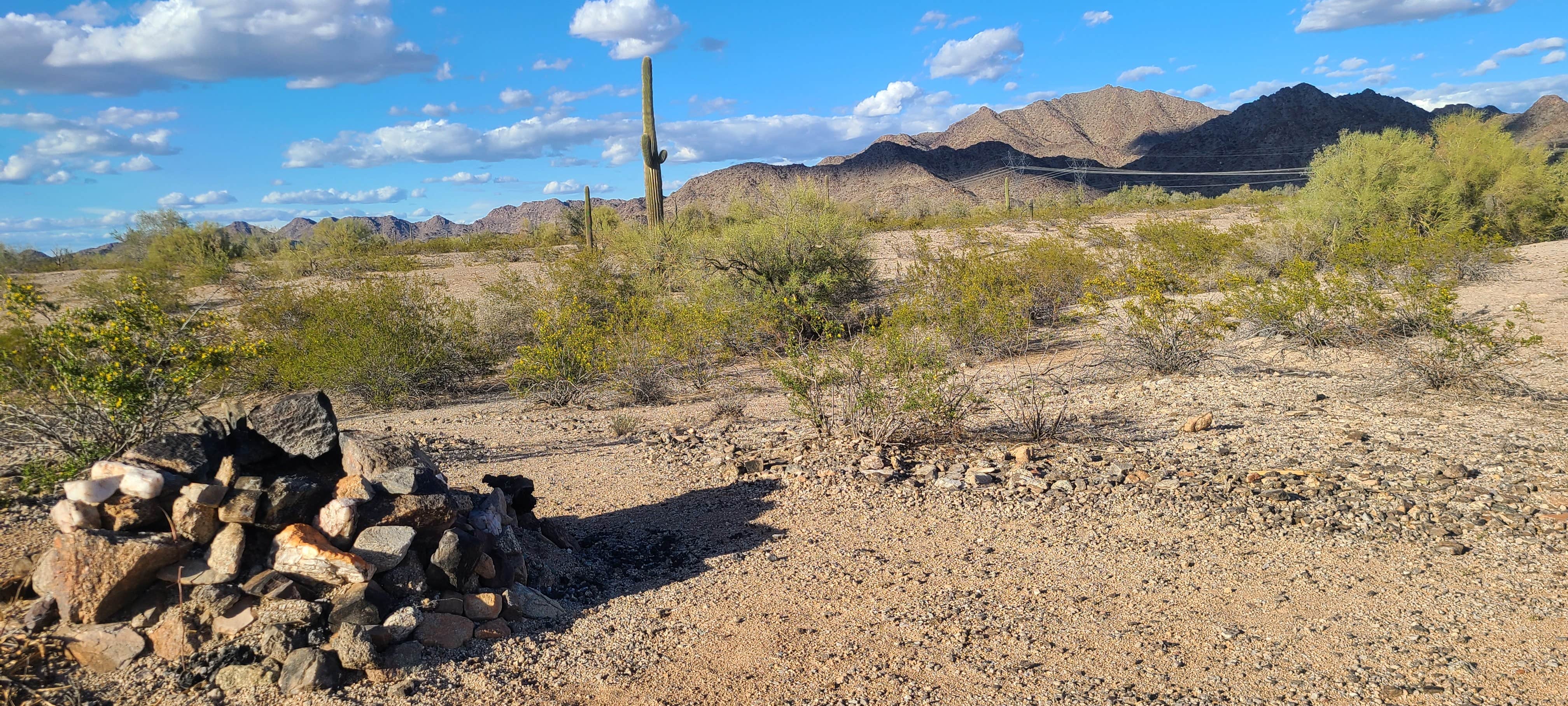 Camper submitted image from BLM - North Maricopa Mountains Wilderness - 3