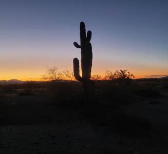 Camper-submitted photo from BLM - North Maricopa Mountains Wilderness 