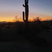 Review photo of BLM - North Maricopa Mountains Wilderness by Alura E., March 30, 2022