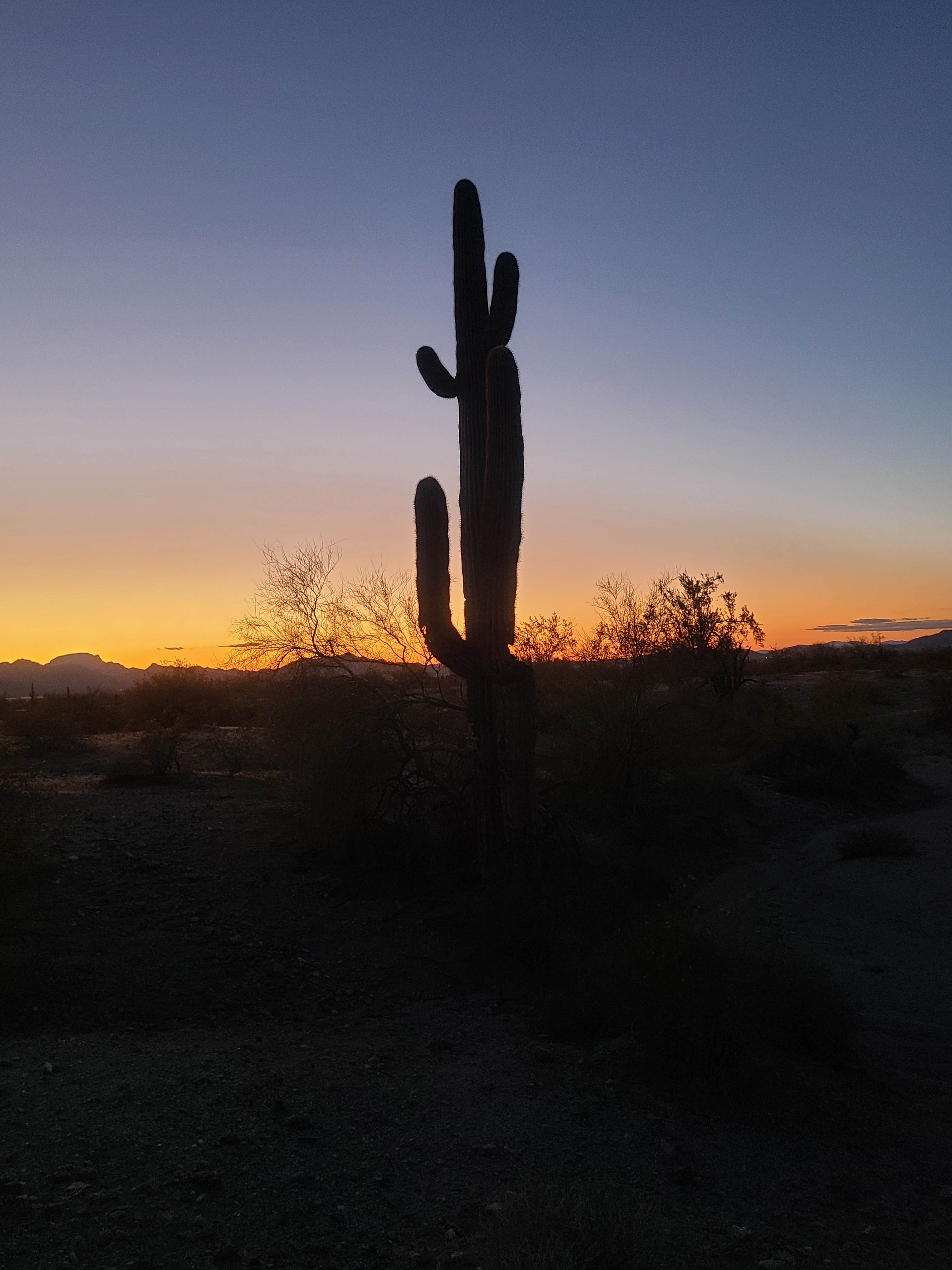 Camper submitted image from BLM - North Maricopa Mountains Wilderness - 2