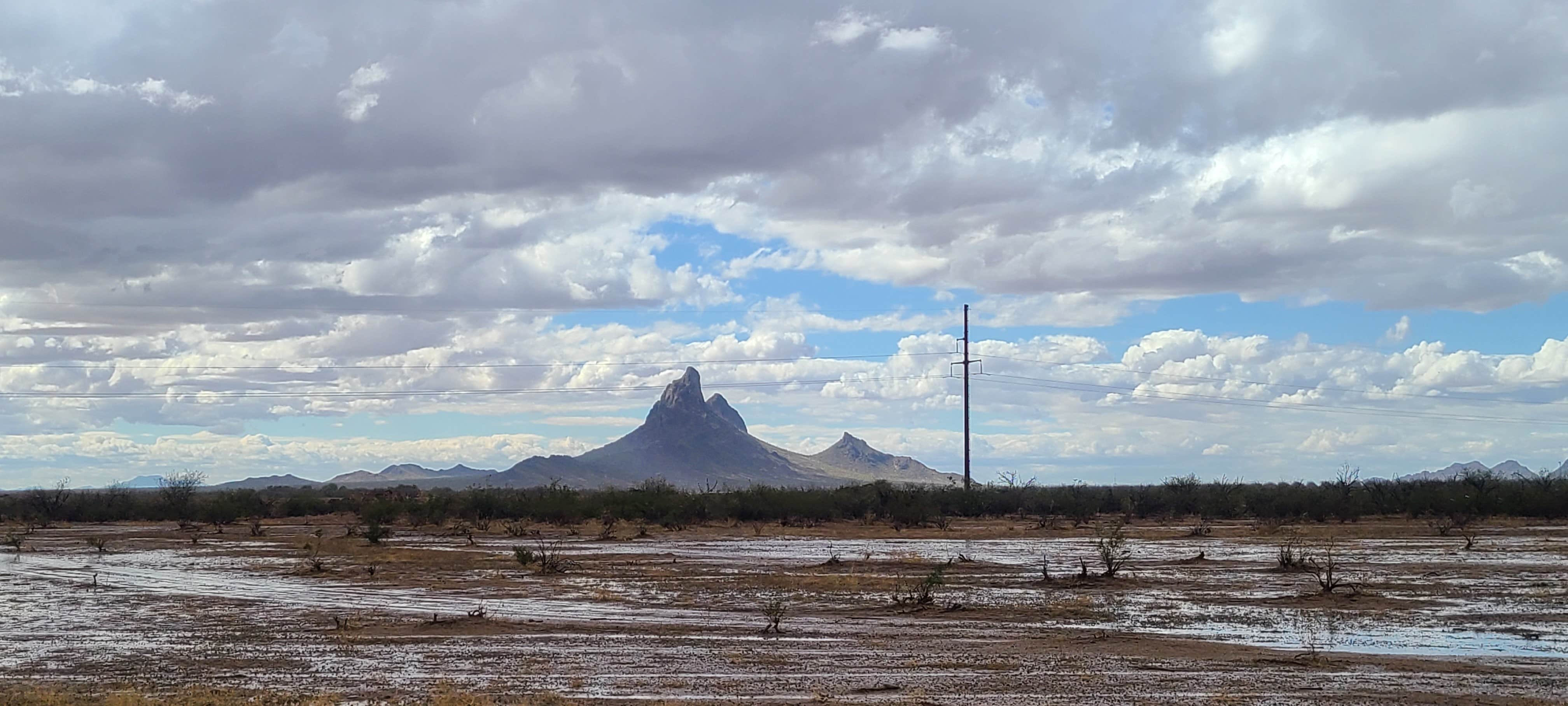Alura E.'s photo of a dispersed camping area at Cactus Forest Dispersed near Tucson, AZ