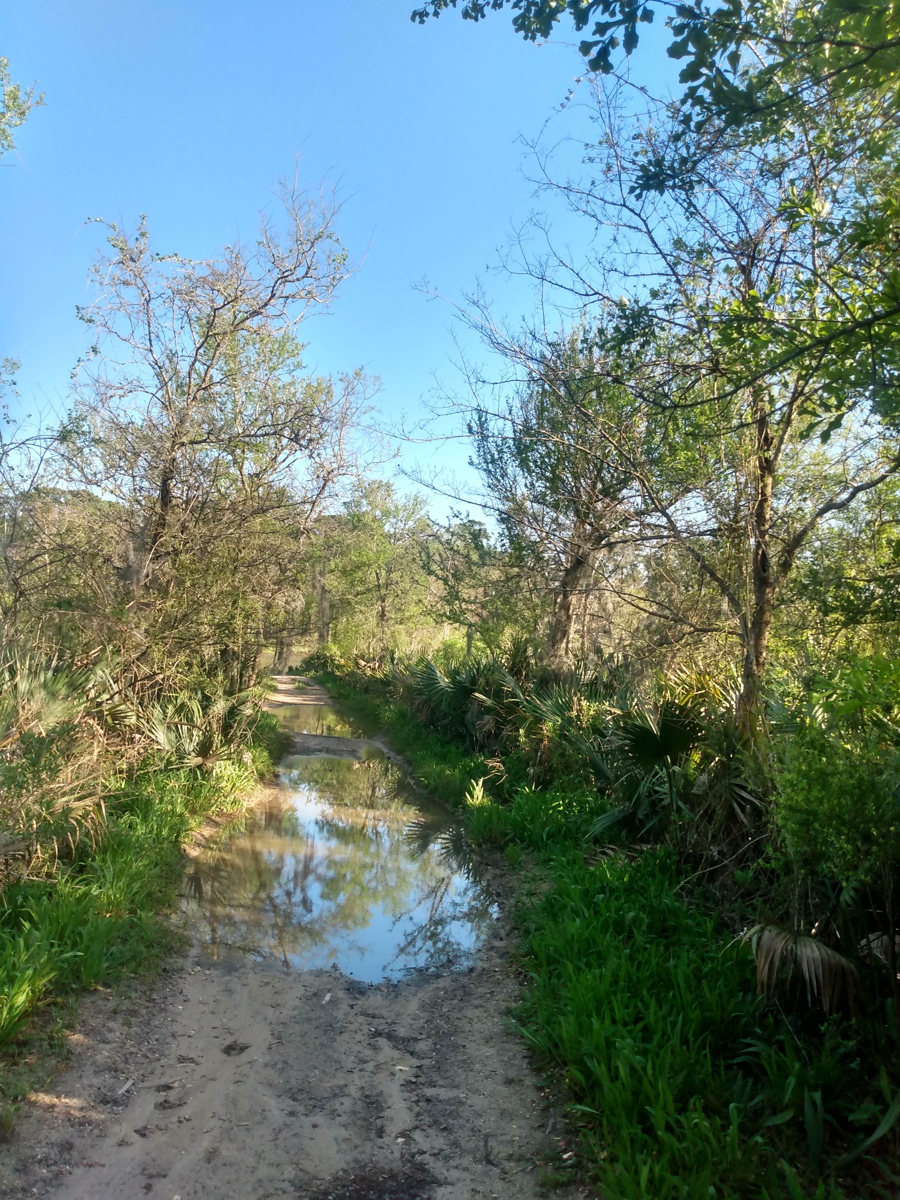 Camper-submitted photo at Eagles Point RV and Camping near Wallisville, TX