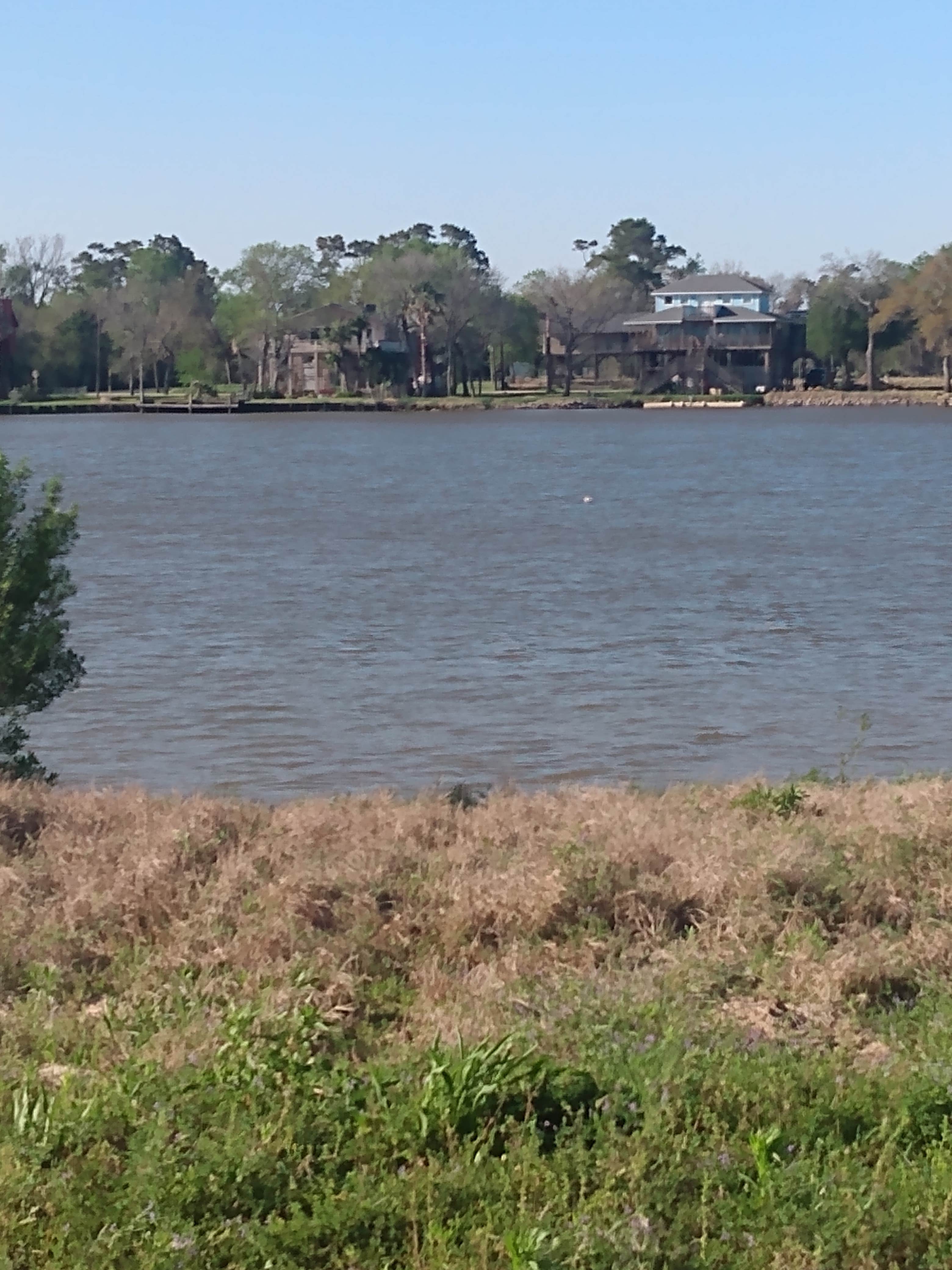 Camper-submitted photo at Eagles Point RV and Camping near Wallisville, TX