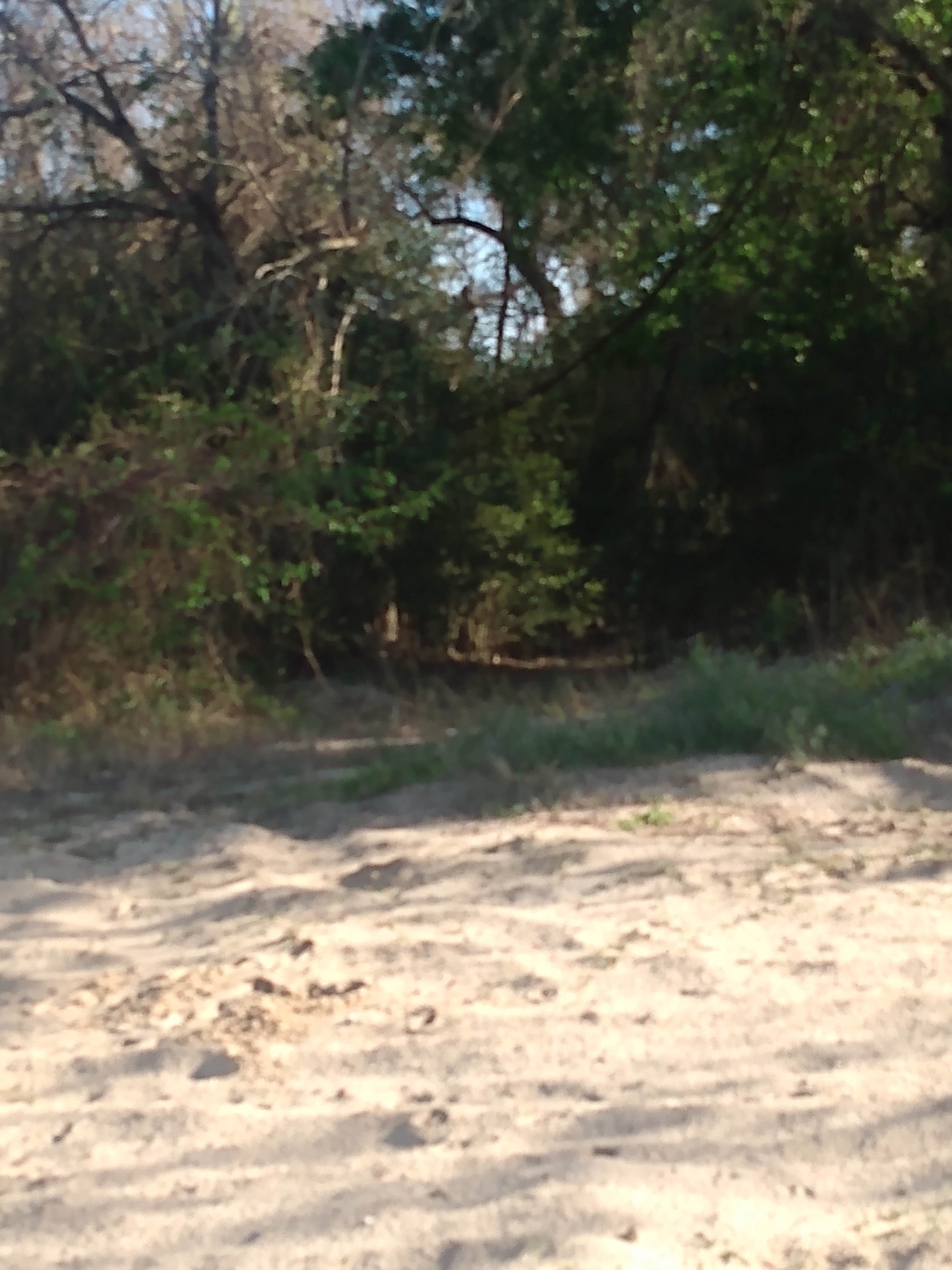 Camper-submitted photo at Eagles Point RV and Camping near Wallisville, TX