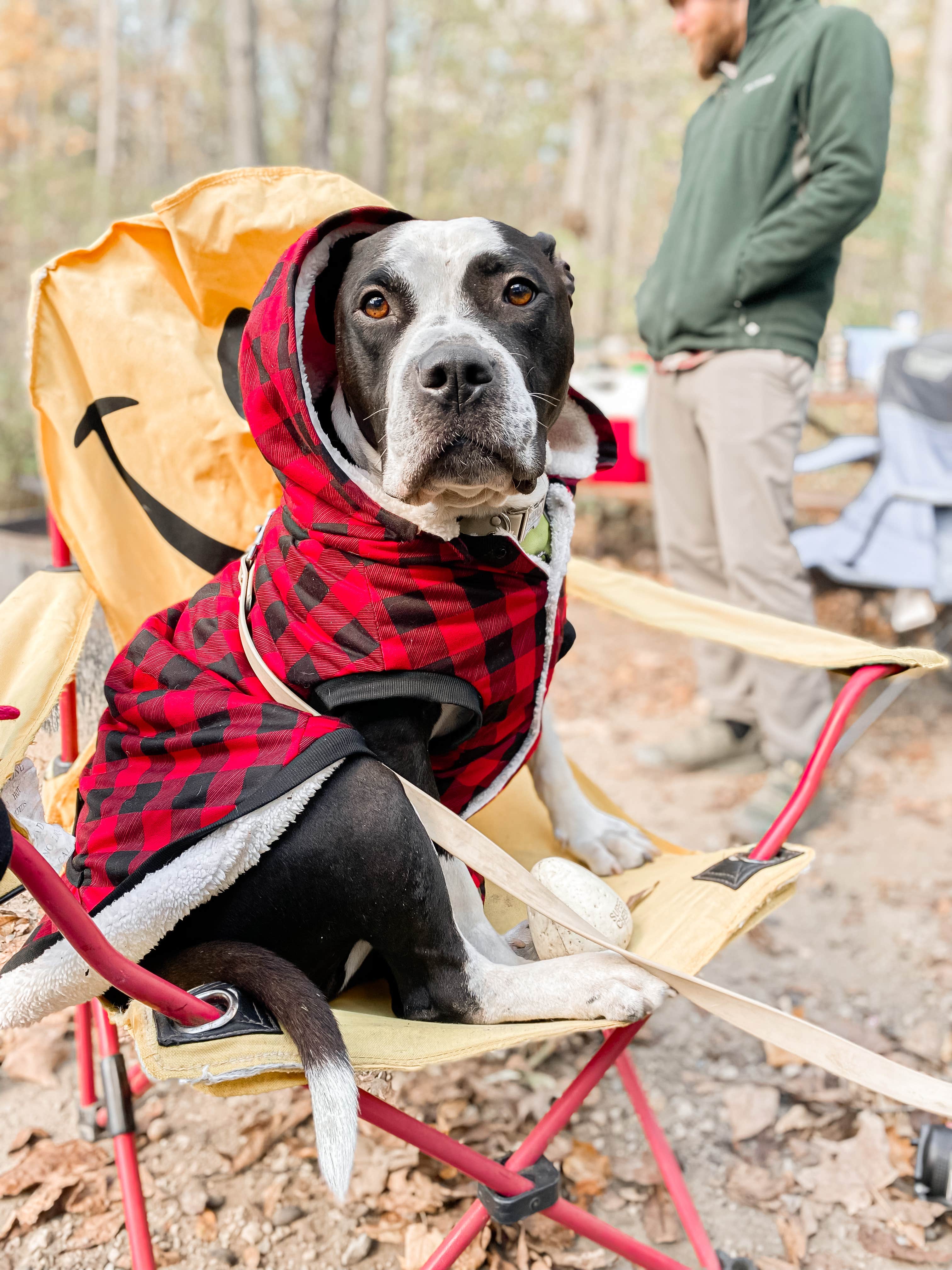 kassondra T.'s photo of camping with pets at Blue Mound State Park Campground near Oregon, WI