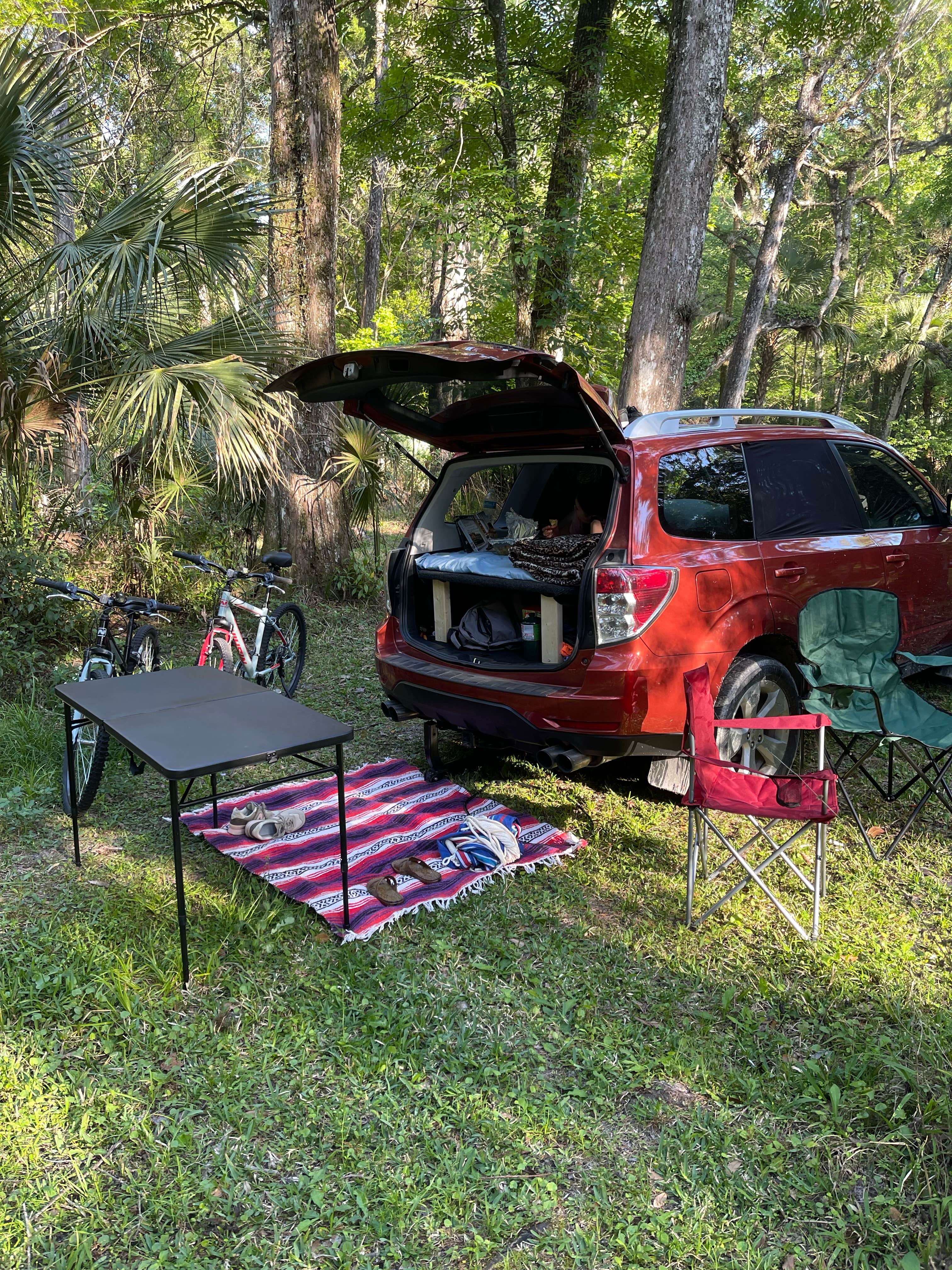 Camper-submitted photo at Green Swamp — West Tract near Zephyrhills, FL