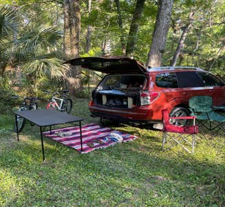 Camper-submitted photo from Green Swamp — Hampton Tract