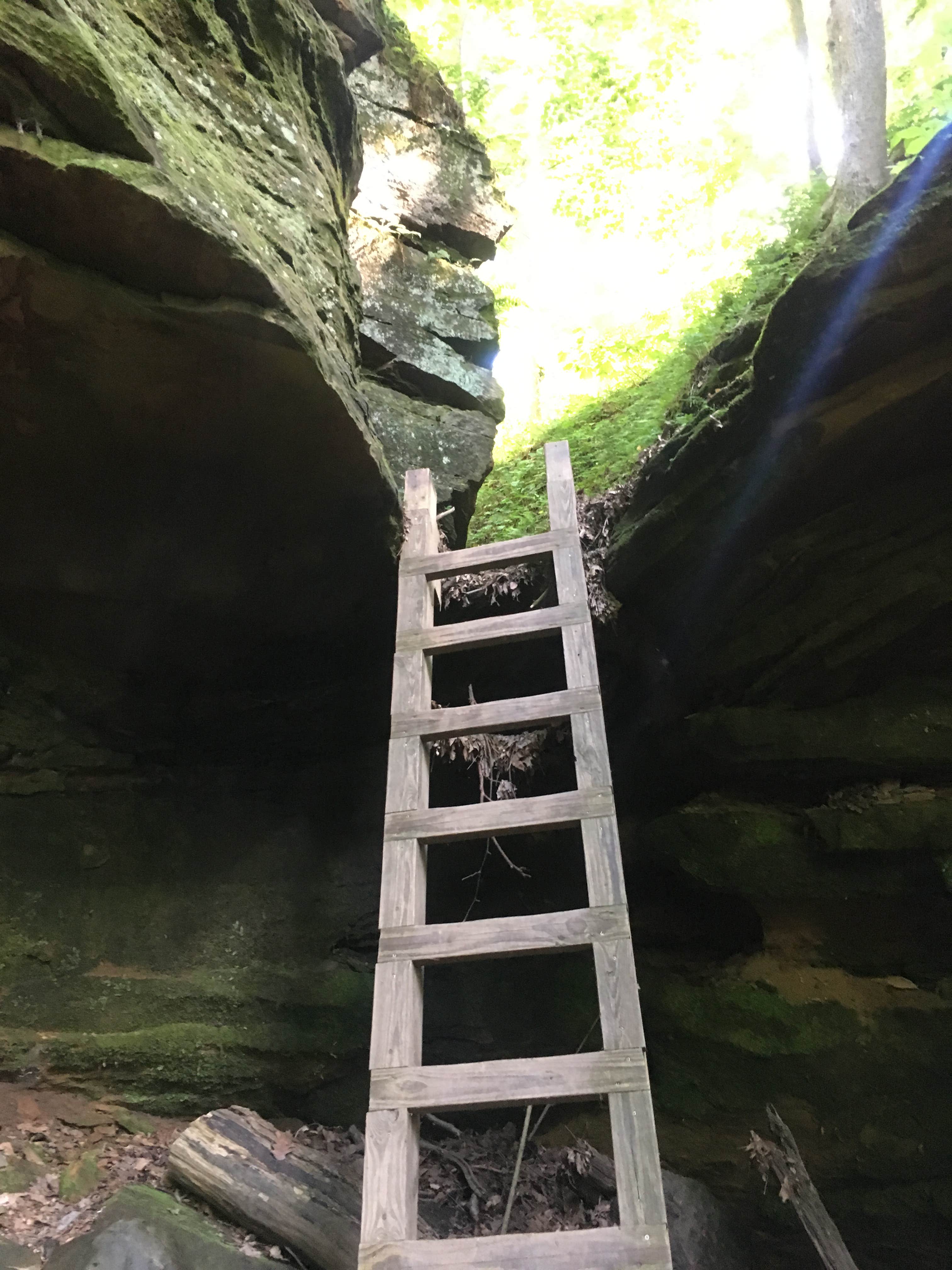 Camper submitted image from Shades State Park Campground - 4