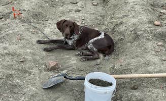 2 B.'s photo of camping with pets at Crater of Diamonds State Park Campground in Arkansas