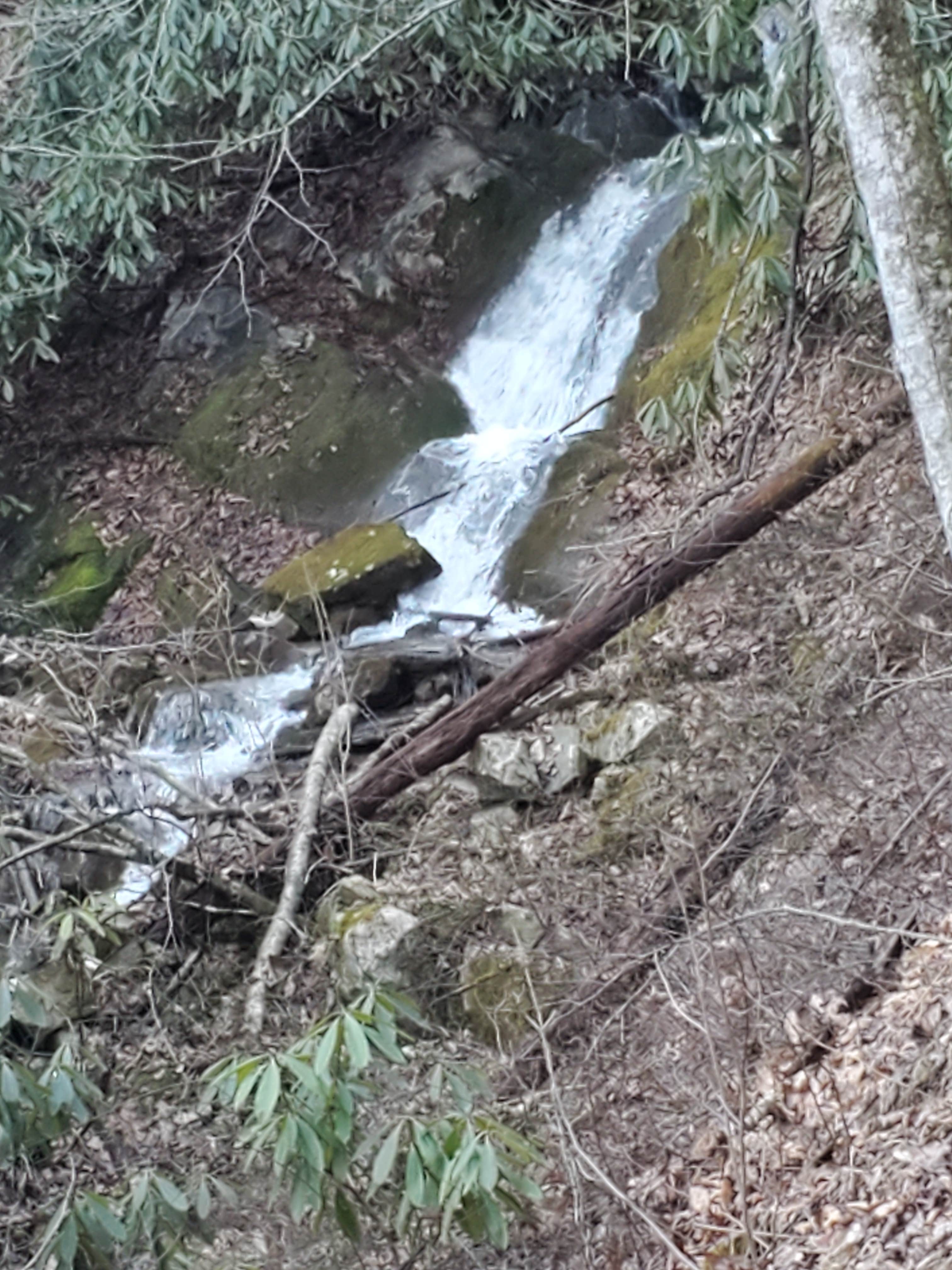 Camper-submitted photo at R&D Campground near Laurel Bloomery, TN