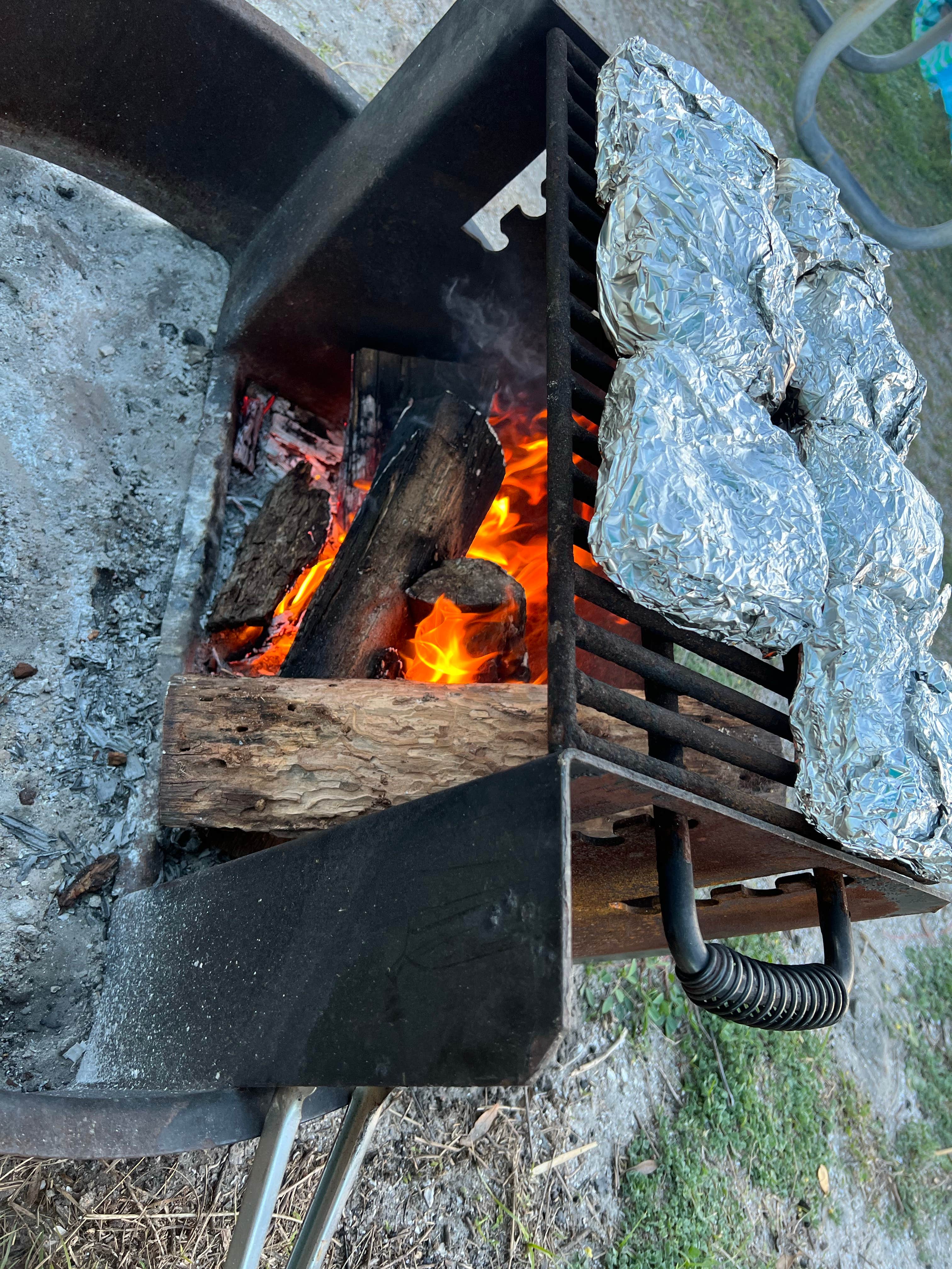 Camper-submitted photo at Huguenot Memorial Park near Jacksonville, FL