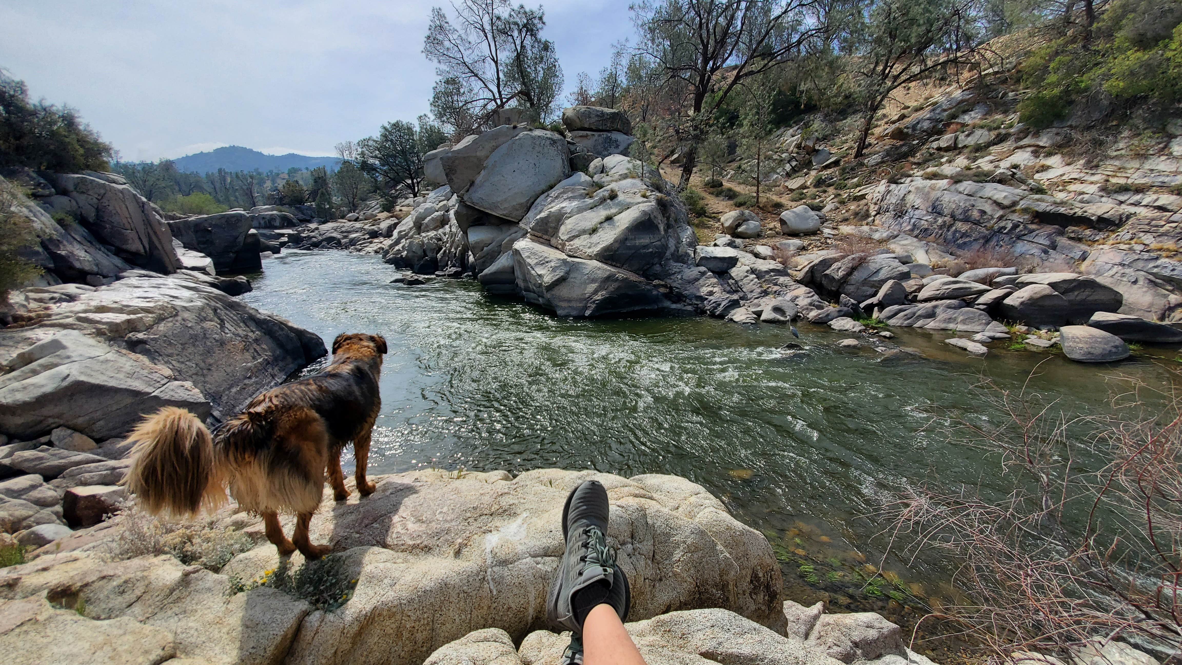 Camper-submitted photo at Keysville South Recreation Site near Sequoia National Forest
