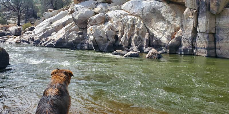 Camper submitted image from Keysville South Recreation Site