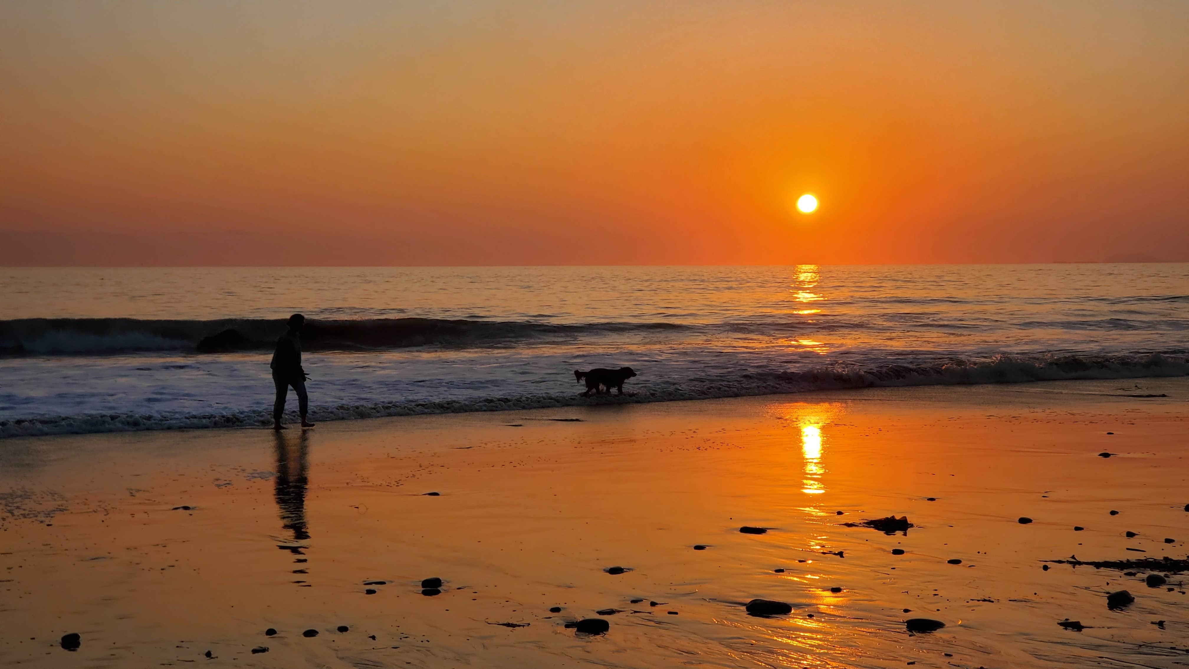 Connor N.'s photo of camping with pets at Thornhill Broome Beach — Point Mugu State Park near Westlake Village, CA