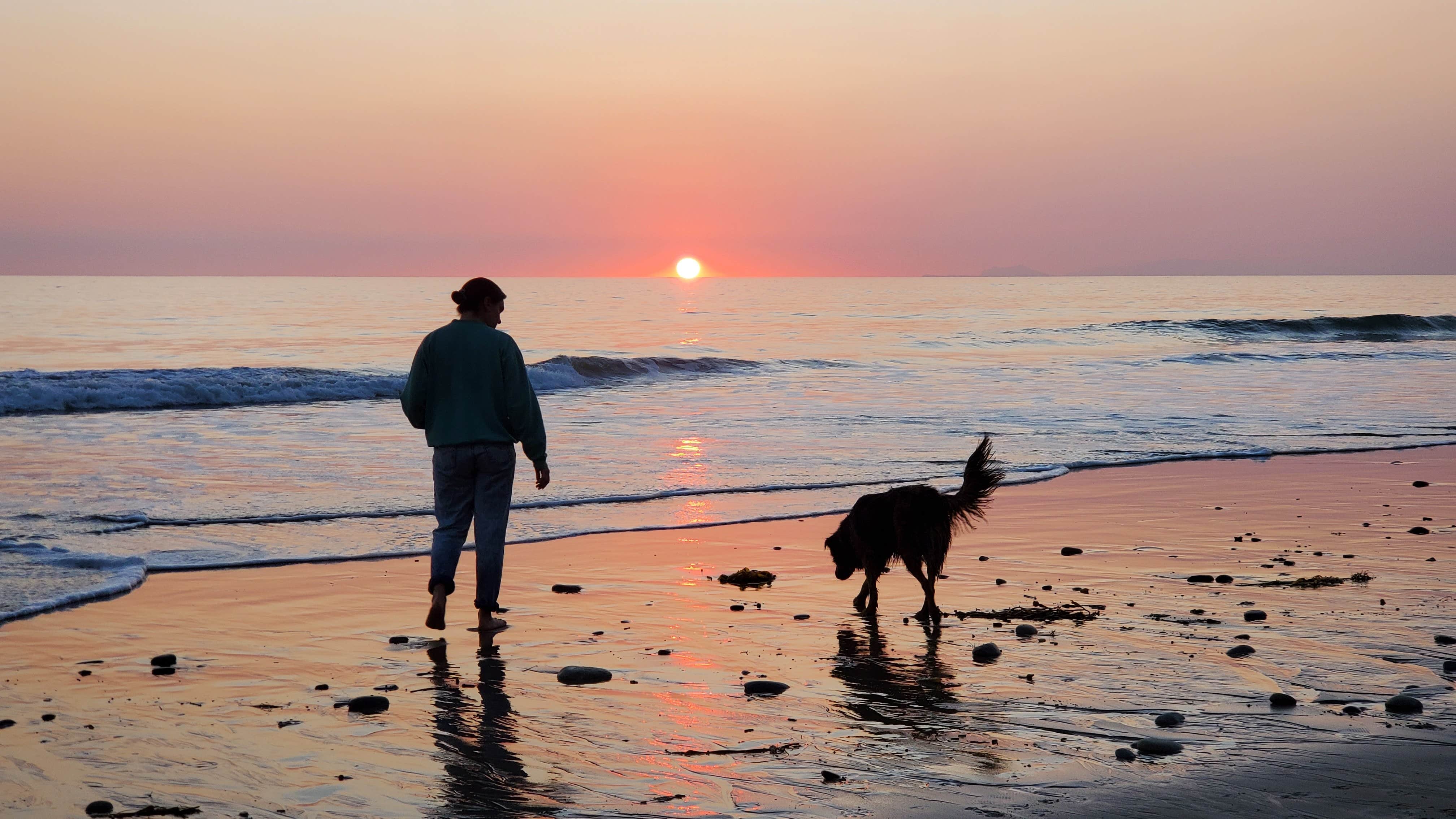 Connor N.'s photo of camping with pets at Thornhill Broome Beach — Point Mugu State Park near Oxnard, CA