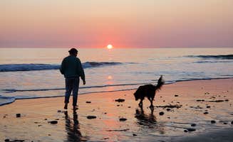 Connor N.'s photo of camping with pets at Thornhill Broome Beach — Point Mugu State Park near Santa Monica Mountains National Recreation Area