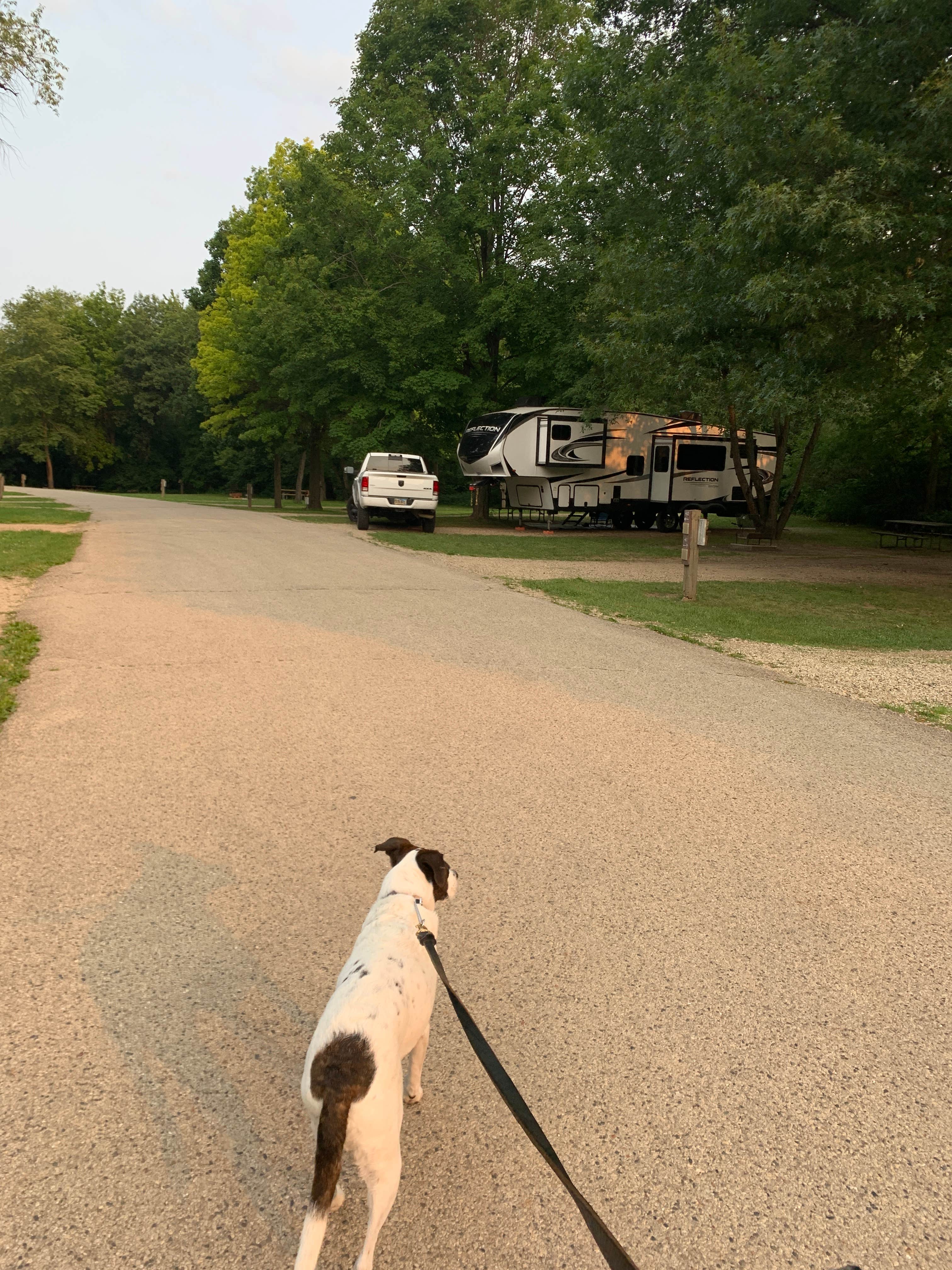 Tina's photo of camping with pets at Honeysuckle Hollow — Chain O' Lakes State Park near Fontana-on-Geneva Lake, WI