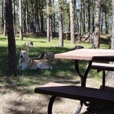 Review photo of Big Pine Campground by Tina , March 31, 2022