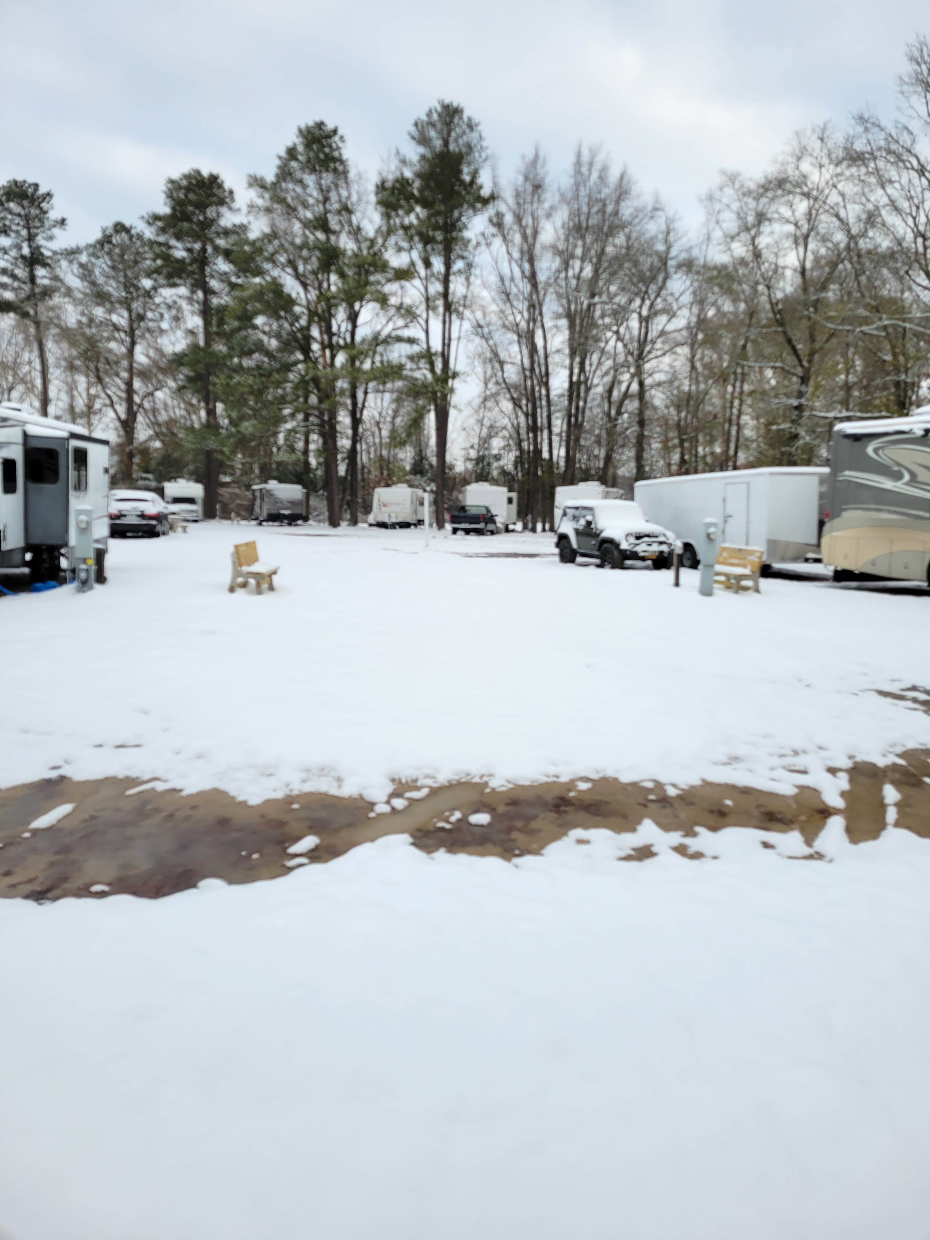 Camper-submitted photo at Dillon Bass Lake near Nichols, SC